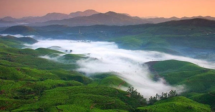 Munnar Travel Guide – Tea Gardens, Hills, Nature, Activities & Complete Details